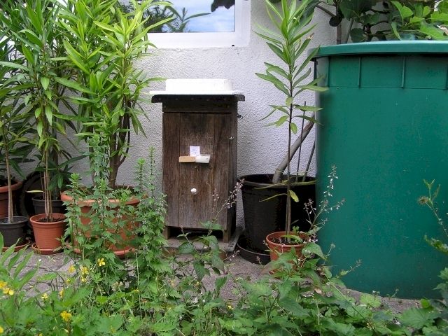Nistkasten nach der Umsiedlung des Nester in meinem Garten, Fluchloch noch mit Papier verschlossen; Foto: Robert Ripberger